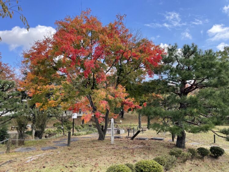 勝龍寺城公園２